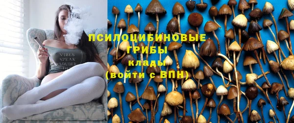 a pvp Заводоуковск