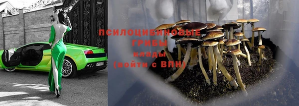 a pvp Заводоуковск